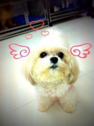 ติ๊ต่าง