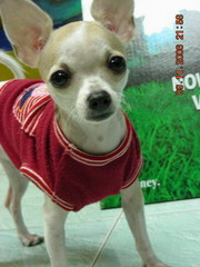 $สมหวังคร๊าบบบ$