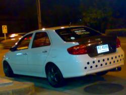 ต้นหอมผักชี