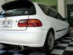 MasTer Of JOLT SPORT.