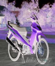 A_SurakaY