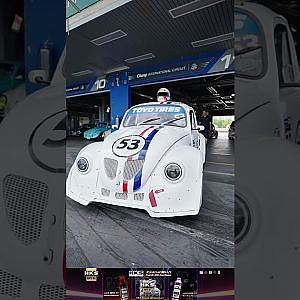 beetle herbie เต่าดมเค โปรเจกต์อร่อยจากพี่ Boy OYSTER
