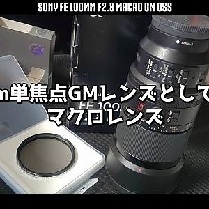 SONY FE 100mm F2.8 Macro GM OSS SEL100M28GM Review - Stance Nation Japan Fuji 2025